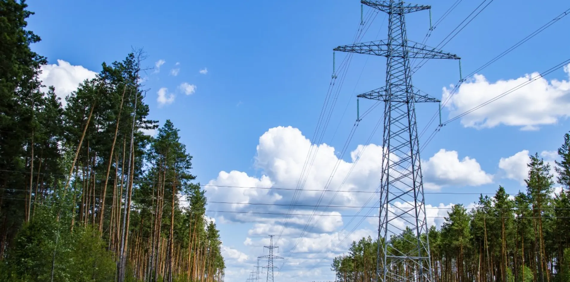 Sieć elektroenergetyczna